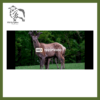 ARKEN / DNT ZULUS HD 5-20X Day/Night Digital - Image 5